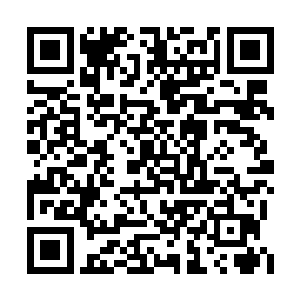 泽北光男手里的折扇敲打在病人的后背上的时候二维码生成