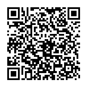 泽梅尔驳回了你领地里的民众建造一个叫做洪远天的人的雕像的事情二维码生成