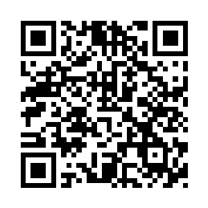 泽田纲吉独自一人踏上了返程的火车二维码生成