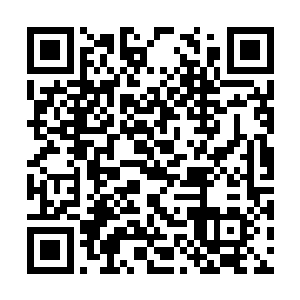 洋流海路为浮冰和鬼潮革命所阻又来不及送来移民二维码生成