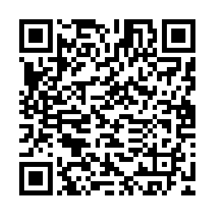 洒迭带着一溜串仿佛尾巴的意柳分身跟着薄西仙人往台阶下走二维码生成