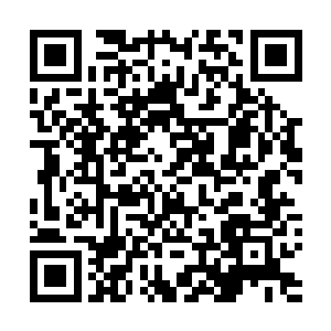 洗漱之后开门就看到泰虎好像热锅上的蚂蚁一样在那转悠二维码生成