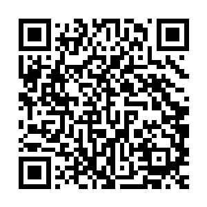 洗脑就是将人大脑里的杂念和自我像洗掉衣服上的污渍一样洗掉二维码生成