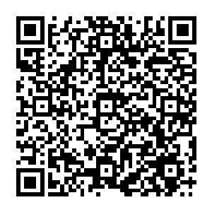 洛丘等县的邻近乡镇围绕洼崮这个万亩中药材种植基地发展起来的一连串中药材种植基地二维码生成