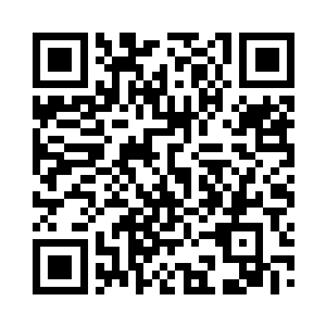 洛什的说客就是这样在他的耳边不停的劝说二维码生成