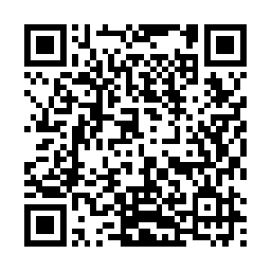 洛半城已经和一个美妇一个美少女站在路边门口迎接他二维码生成