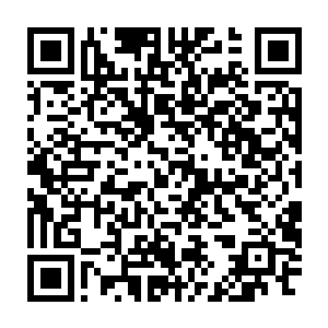 洛天子也是把能提前完成的工作全都积压在这一个月之内努力完成二维码生成