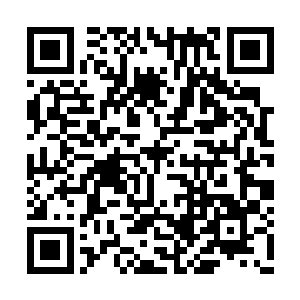 洛天子哀怨的眼神透过玻璃车窗看着里面的海丝二维码生成