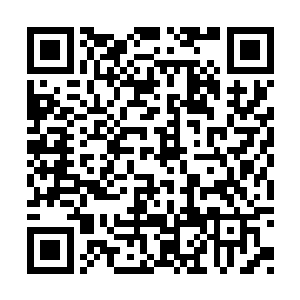 洛尔城外已经有不少人发现了远方突然出现的人二维码生成