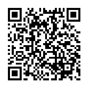 洛悠悠从盒子里挑了一个最小盒子扔给了那掌柜二维码生成