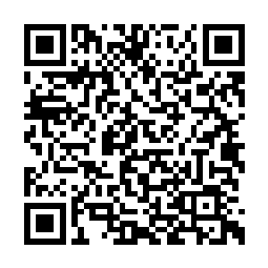 洛悠悠在朵朵和幽冥毛茸茸的脸上分别亲了一下二维码生成