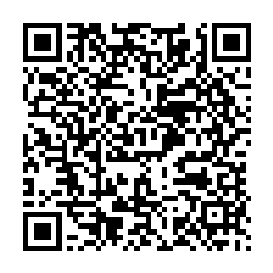 洛悠悠现在才知道原来自己玩的这些小把戏早就已经被沈寒星给看穿了二维码生成