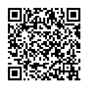 洛河和飞雪感应到杨晨的气息便高兴的迎了过来二维码生成