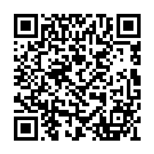 洛潮尽管未体会过领域后面几个等阶法则的力量二维码生成