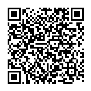 洛神宫一位顶尖王者见出手的赫然是苍岳宗此次带队来洛神宫观礼的岳王二维码生成