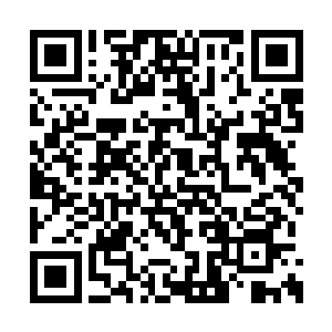 洛离再也不用什么伽罗圣泉法器提供的单一灵气二维码生成