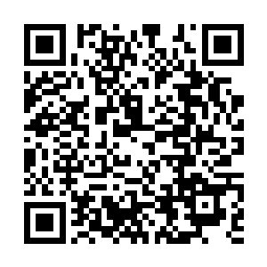 洛离猜想坊市第一需求就是这代表气运的仙元货币二维码生成