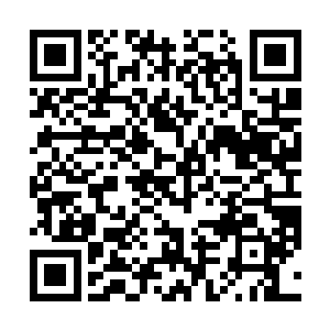 洛离获得第十六万三千六百二十七次外门九九灵山试炼二维码生成