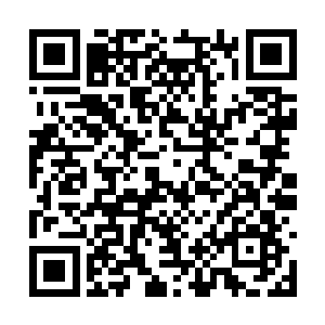 洛维奇在看到了一些能够重新干回老本行的希望后二维码生成