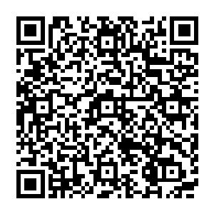 洛门这些地市之间的高速公路项目都必须要由省高速公路建设发展公司来统一规划承建二维码生成