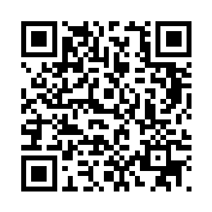 洛阳锦所做的一切都有张潇晗的支持二维码生成