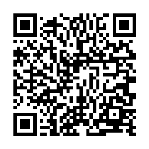 洛雪嫣看到叶凡的眼神有意无意在自己咪咪上扫来扫去二维码生成