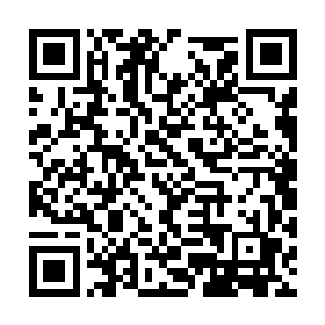 洛霓裳正在那里一头是汗的想办法弄开机关的外壳二维码生成