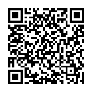 洞内原本闭目养神的林辰在听到洞穴之外传出的吼声二维码生成