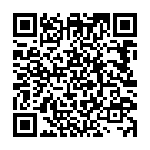 洞府外面还有不少人在那个虚假的宫殿之中兜兜转转二维码生成