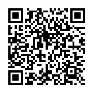 洪七公听到池佳一夸奖自己的降龙十八掌心中倍是舒坦二维码生成