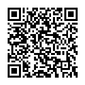 洪亚伦的旁边还战着二十名手中举着手枪的兄弟二维码生成