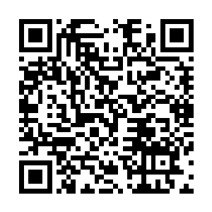 洪出尘和龚明等人此时站在螭龙尸体的旁边望着巨大的龙尸二维码生成