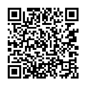 洪剑门的门主和老副门主全都不知道该说什么了二维码生成