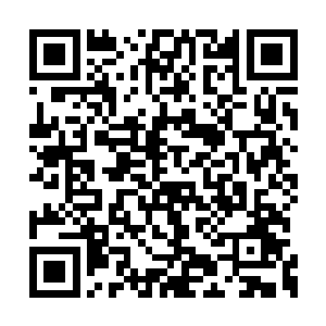 洪大力一眼就看到撒着欢的在水里嬉戏的大鳄龟二维码生成