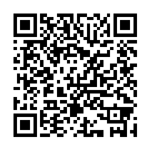 洪大力带着唐慕馨和九大狗腿在副本里面几乎就是平趟二维码生成