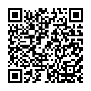 洪大力敢再过来半步她绝对会一炮轰死这个败家玩意二维码生成