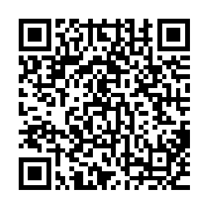 洪大力是不可能真的找那些作恶多端的死刑犯去打篮球的……二维码生成