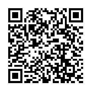 洪大力的那帮同学们也都很想知道是不是有什么内幕消息二维码生成