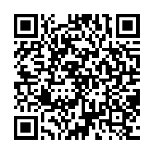 洪大力看着一个个的都跟看神一样看着自己的各星界学员二维码生成