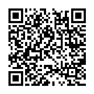 洪大力终于想起来之前古菲菲是怎么操纵股票的了二维码生成