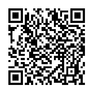 洪大力这个败家子搞的任何东西肯定都挺有看头二维码生成