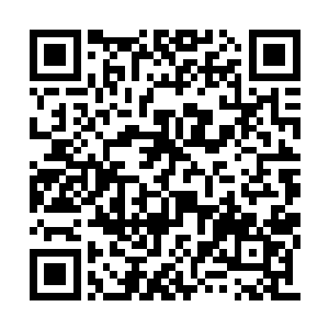 洪大力这混小子随便一招都打的钱光照抬不起头二维码生成