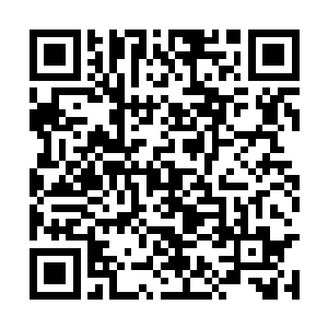 洪大力这边也是跟混血美女以及厄运天使拉着家常二维码生成