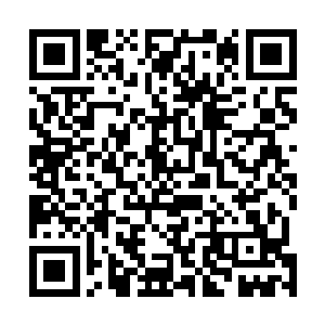 洪大力那边又开始石头剪刀布来决定下一个谁上场了――二维码生成