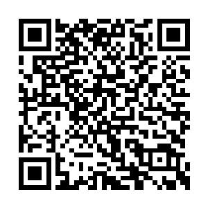 洪奇立刻就被这高标准的业务技能范围给征服了二维码生成