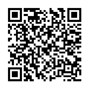 洪奇都在对这些渔民的作战开枪行为做简单的调整二维码生成