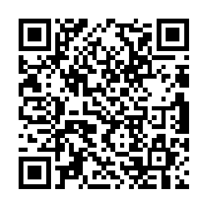 洪宣娇清楚王枫并未放弃绑架陈村老弱妇孺的心思二维码生成