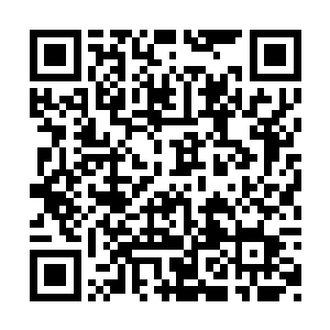 洪宣娇连忙给反应最过激的绿娥彩绫打了个手势二维码生成