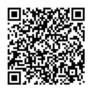 洪文景做梦也没想到本来想着冯老教授能帮忙说道说道夏云杰几句二维码生成