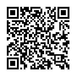 洪文景的赞同让厅长心里不禁又是一阵黯然心惊二维码生成